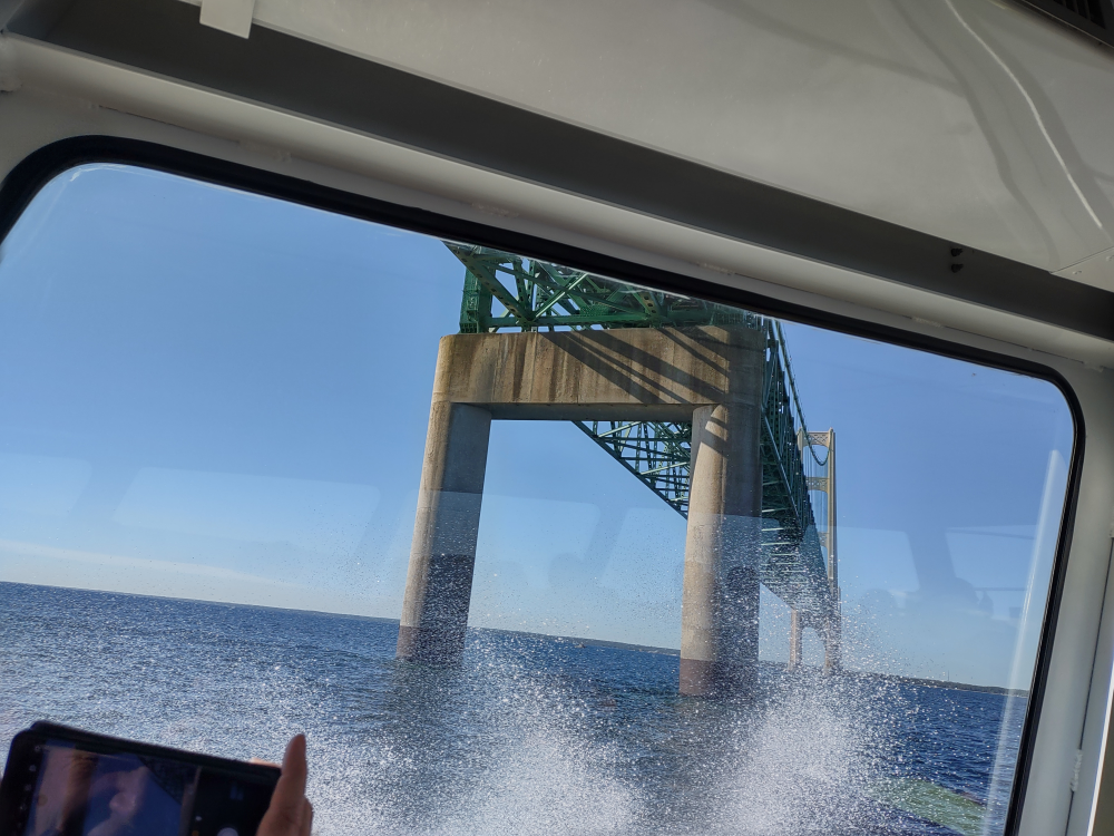 Under the bridge