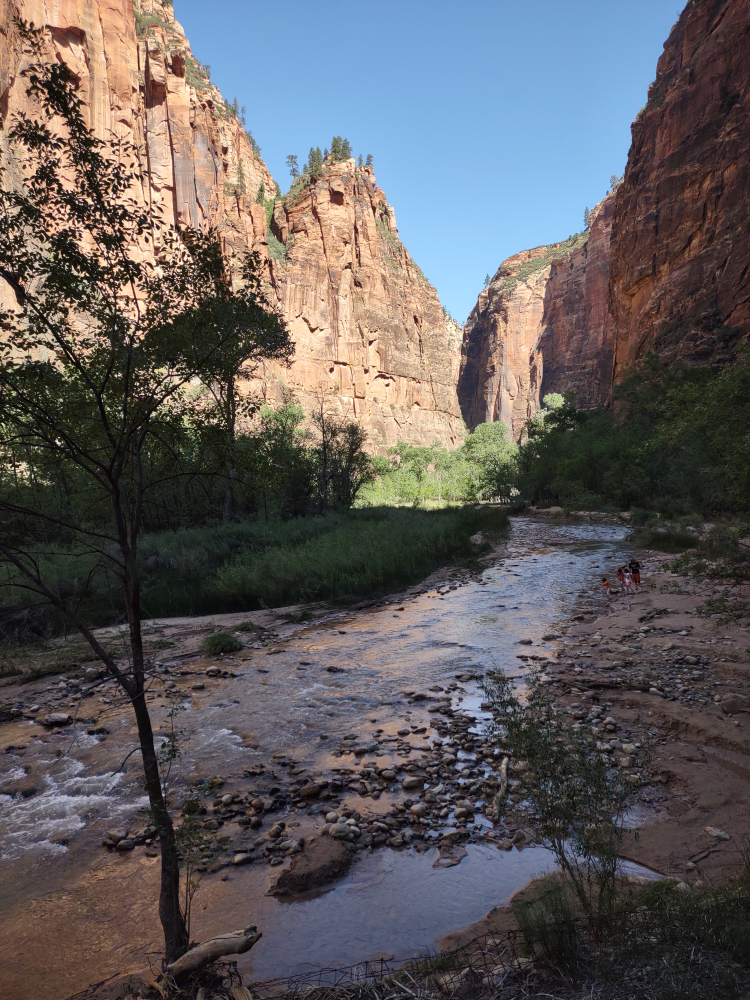 The river.