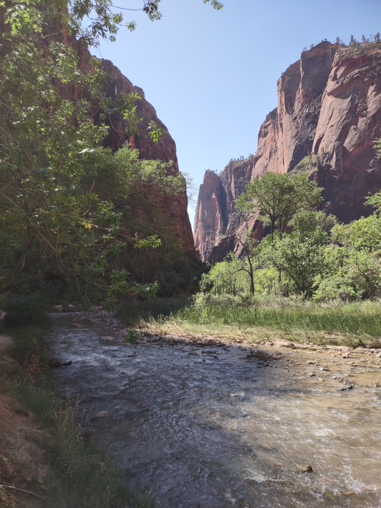 More of the river.