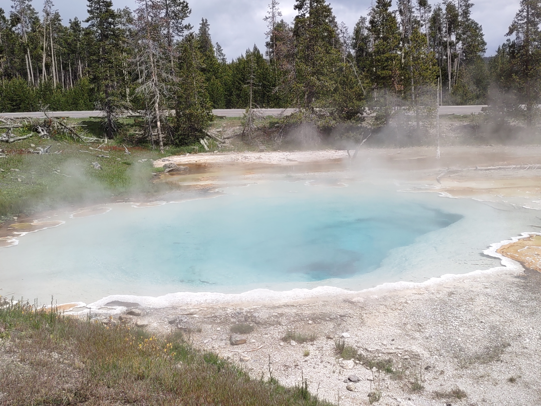 Celestine Pool