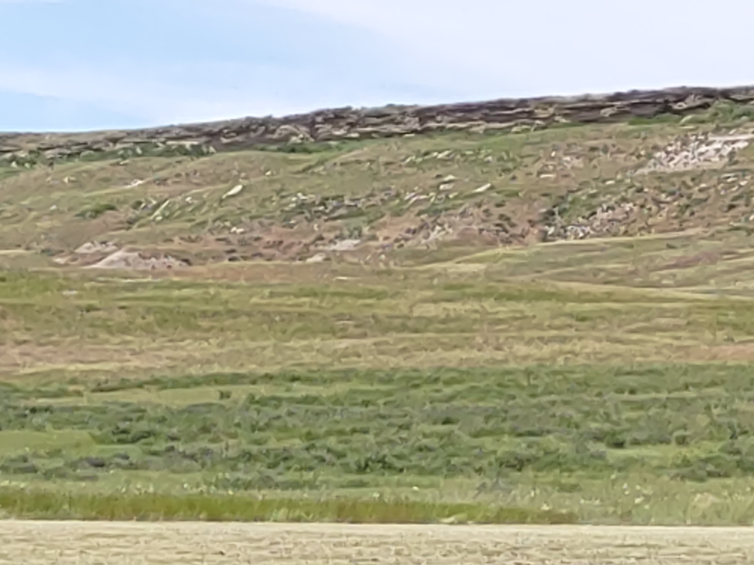 The cliff that the Bison were stampeded off of.